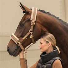 Eskadron halfter Kunstleder Heritage 24/25 
